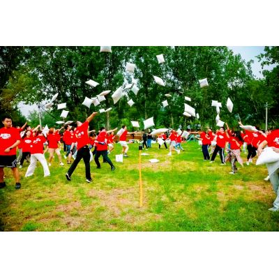 充气趣味运动会游戏枕头大战出租出售